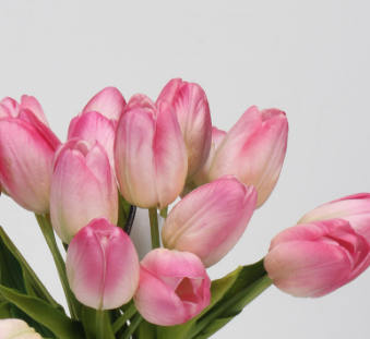 Little faux tulip bundle of 7