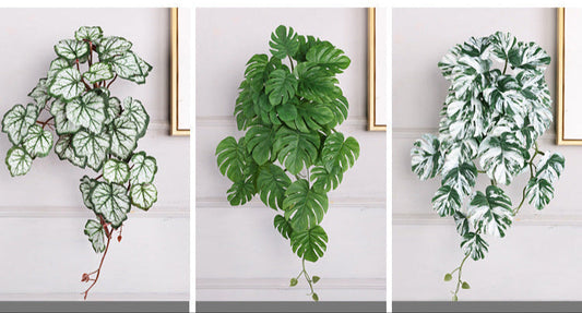 Hyper-real hanging plant cluster with 29 realistic leaves（6 different plants）