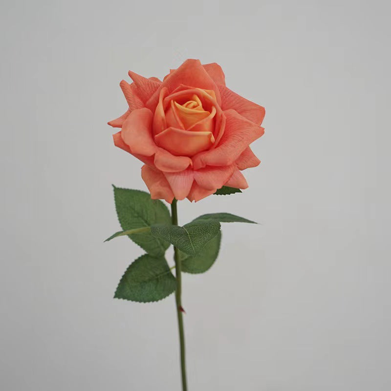 Rose with single bloomsome