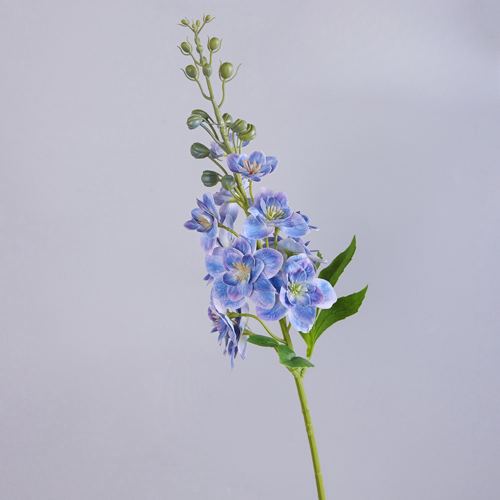 Delphinium 66cm